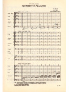 Franz Liszt - Mephistos Walzer