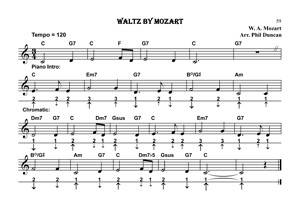 Basic Chromatic Harmonica (booklet/CD)