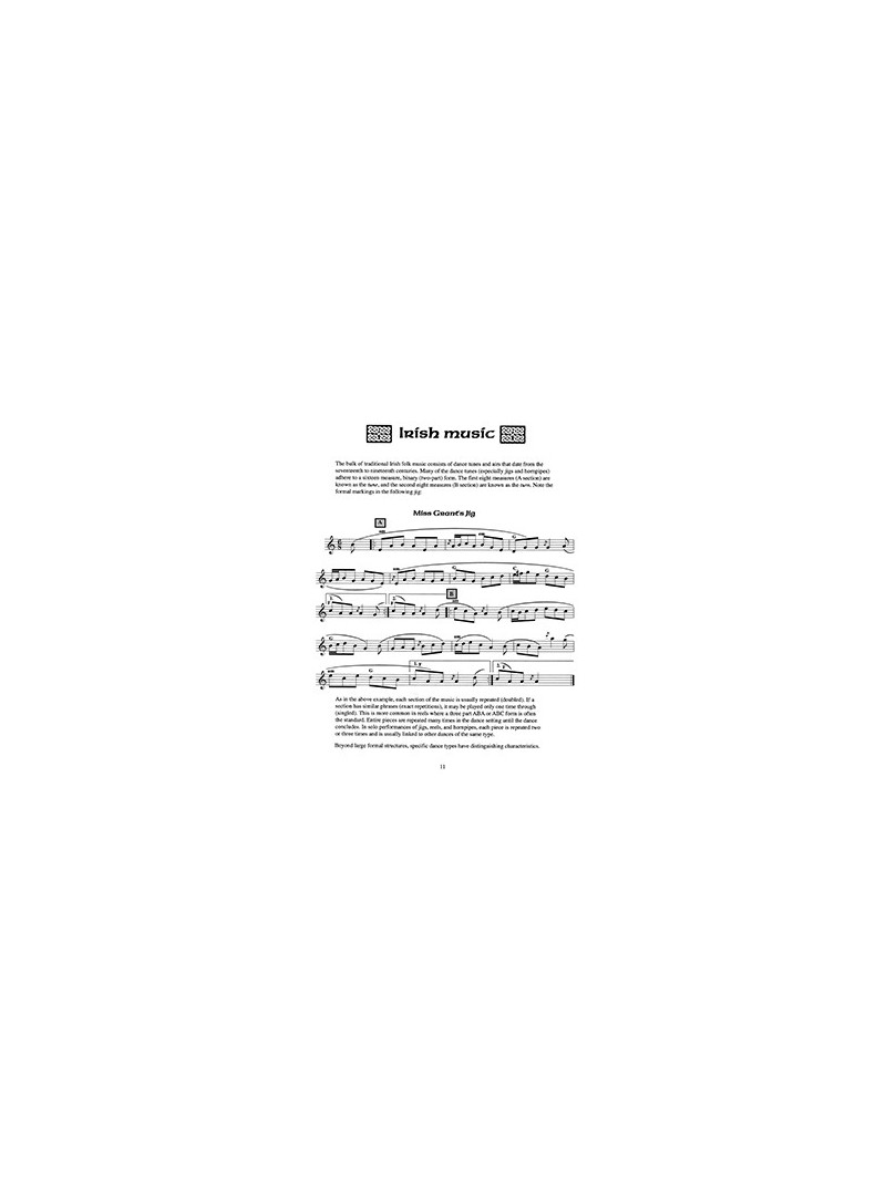Complete Irish Flute Book (book/CD)