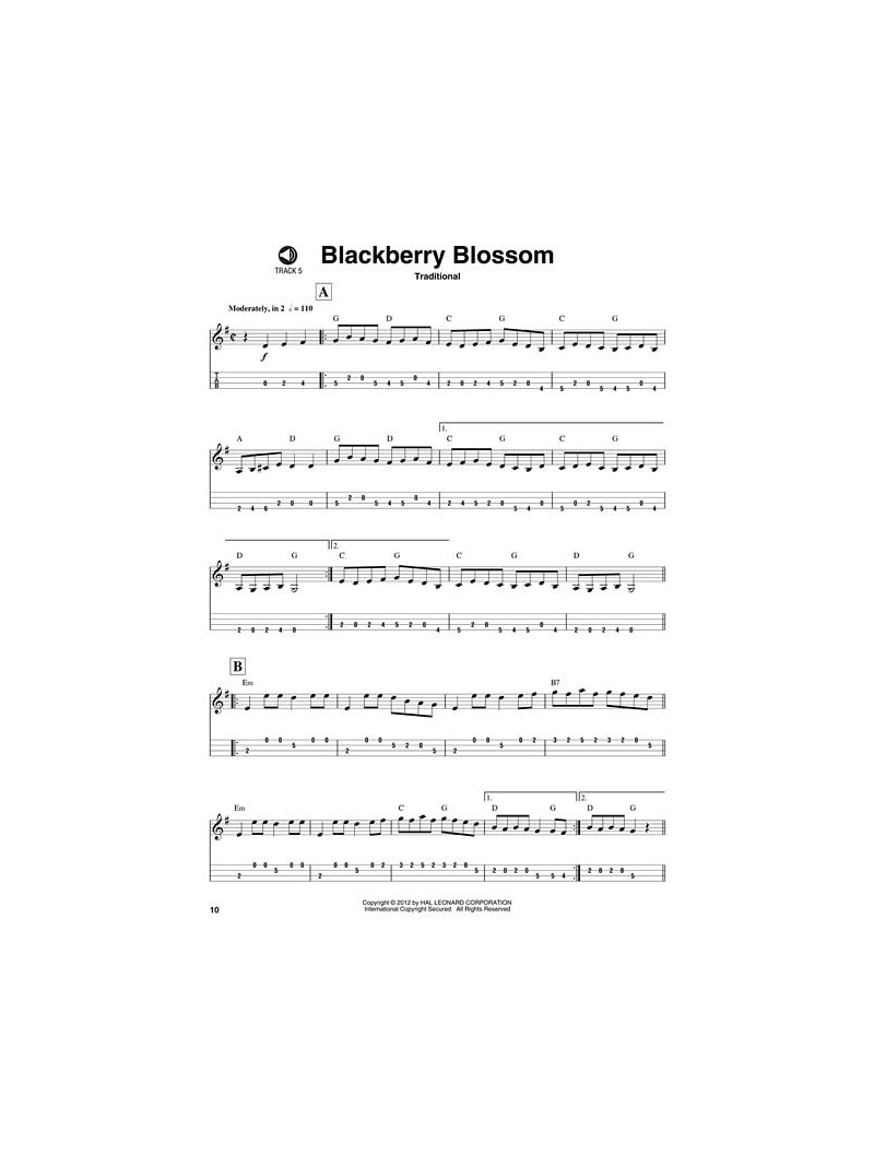 Bluegrass : Mandolin Play-Along Volume 1 (book/CD)