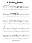 Bluegrass : Mandolin Play-Along Volume 1 (book/CD)