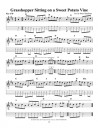 Steve Kaufman's Favorite 50 Mandolin (Tunes G-M Book/CD)
