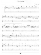 Great Mandolin Picking Tunes (book/CD)