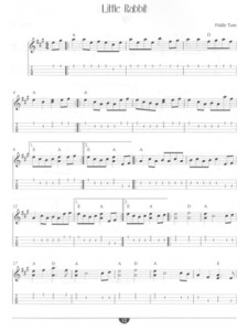 Great Mandolin Picking Tunes (book/CD)