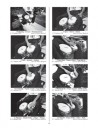 Fun with Bongos (book/CD)