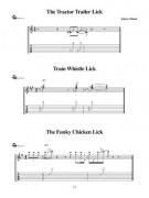 Licks & Tricks Volume 2 (book/CD)