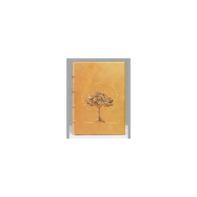 Franco Maria Ricci - LIBRO D'ORE 