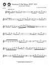  Bach Flute Solos  (book/CD)