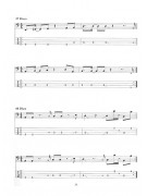 The Encyclopedia of Bass Riffs (book/2 CD)