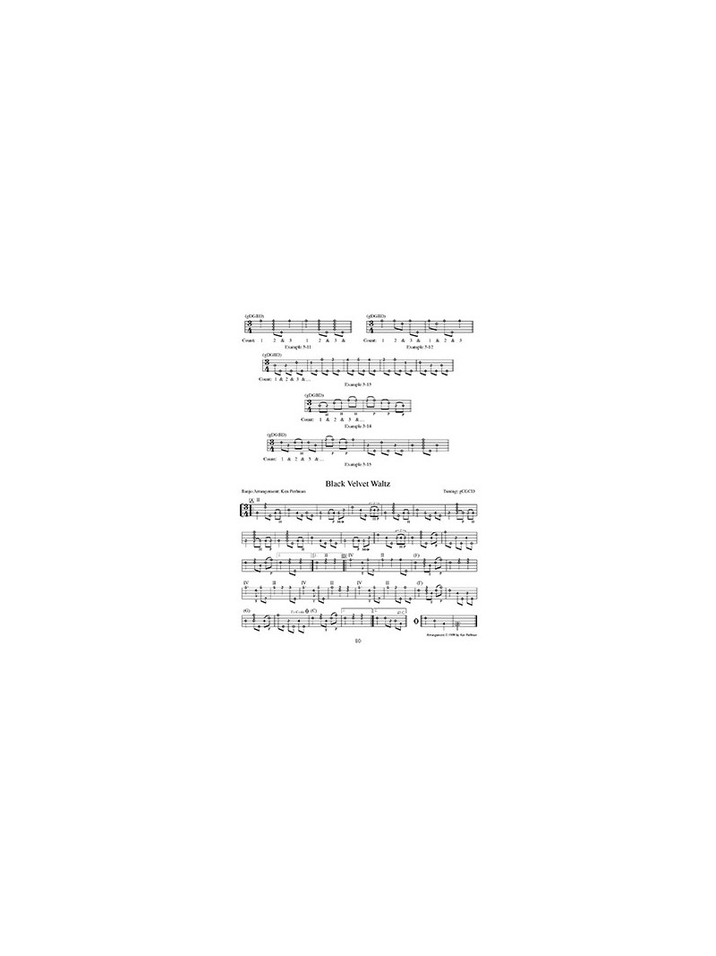 Everything You Wanted to Know About Clawhammer Banjo (book/2 CD)