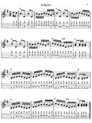 Deluxe Bluegrass Mandolin Method (book/CD)