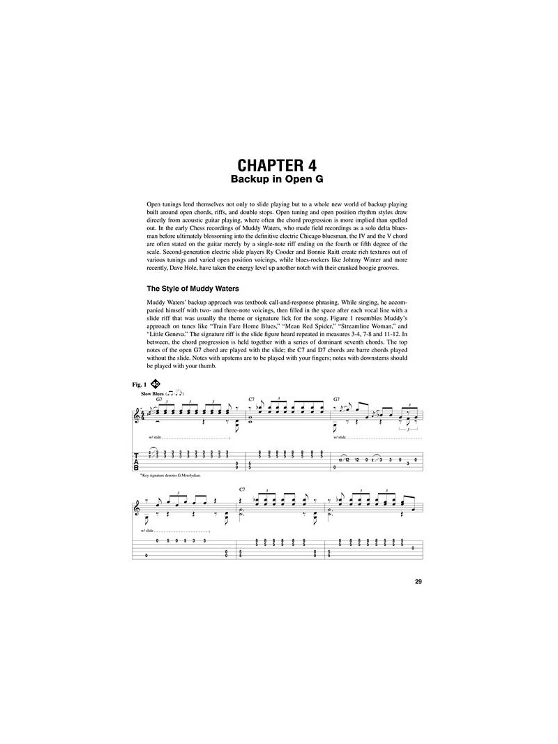 Electric Slide Guitar (book/CD)