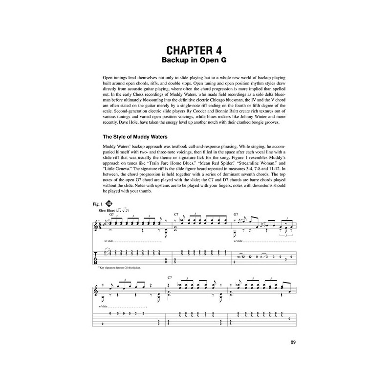 Electric Slide Guitar (book/CD)