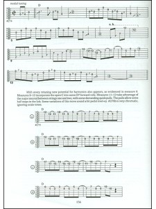 Complete Dobro Player (book/2 CD)