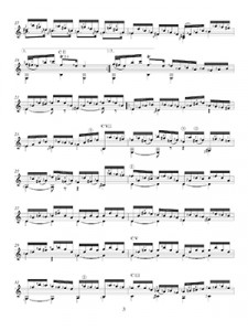 Brazilian Nights: A Rhythmic Musical Experience Featuring Latin Guitar