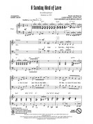 A Sunday Kind of Love