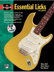 Basix: Essential Licks for Guitar (book/CD)