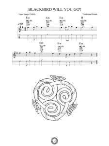 Celtic Songs for the Tenor Banjo
