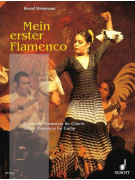Bernd Steinmann My first Flamenco for guitar