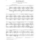 Elefant - Carnival Of The Animals (Double Bass & Piano)