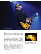 libri di liuteria, chitarre Gibson, vic dapra Burst Believers guitar