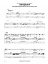 Slap Bass Bible