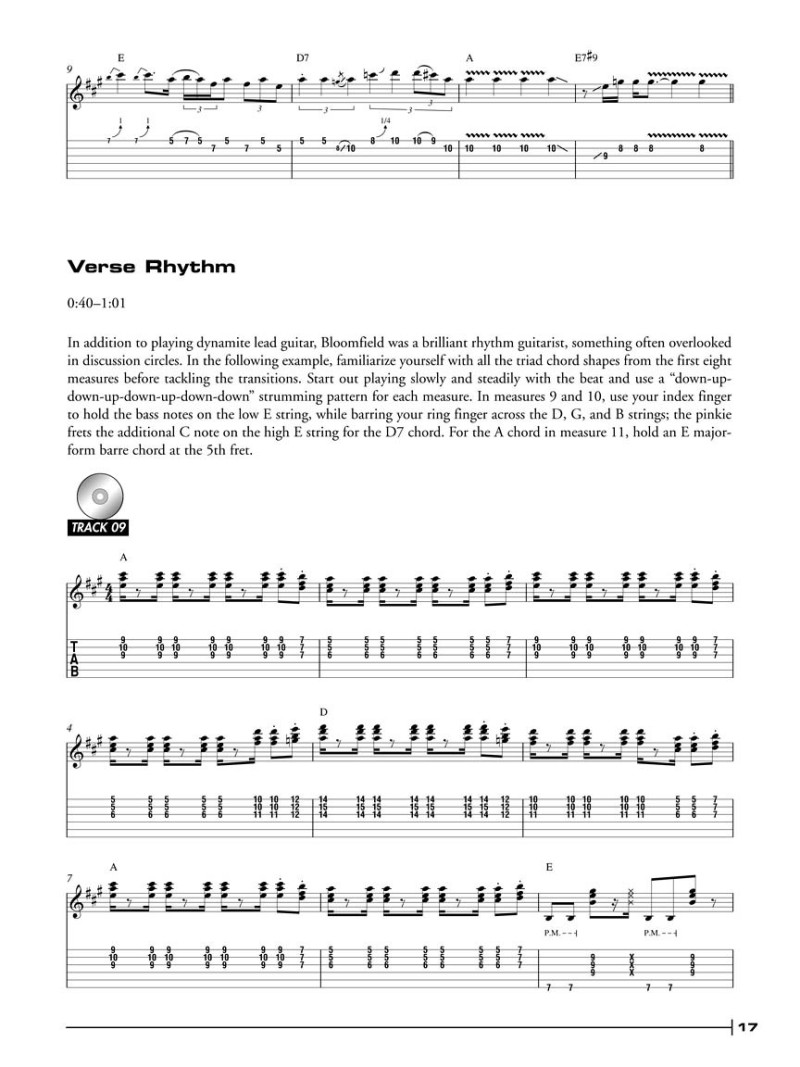 Michael Bloomfield Legendary Licks