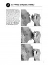 Steve Cohen 101 Harmonica Tips