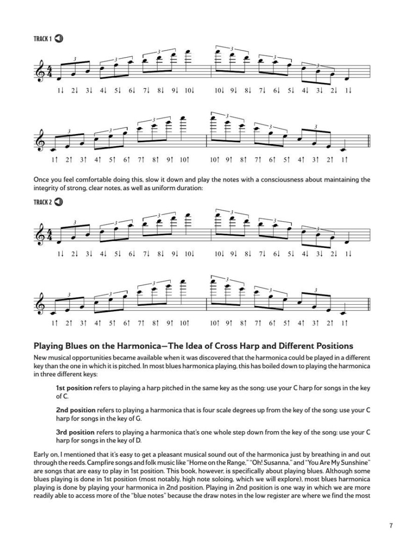 blues harmonica