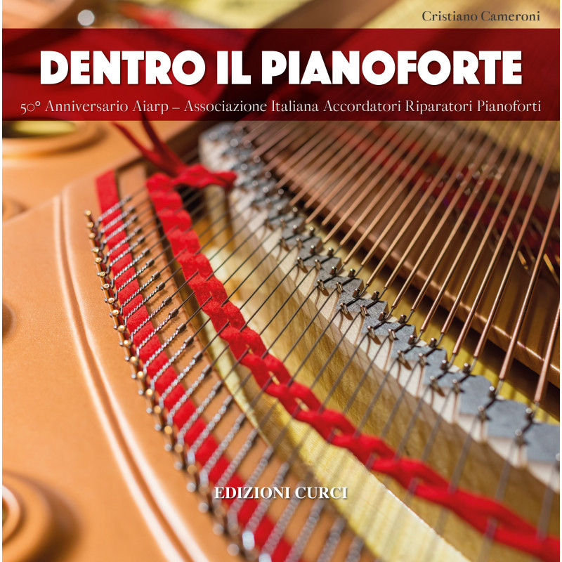 Dentro il pianoforte