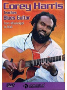 Teaches Blues Guitar (DVD)