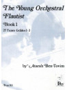 Young orchestral flautist