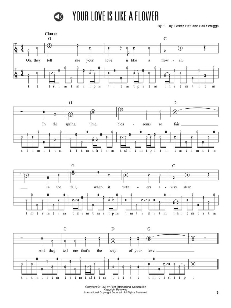 Hal Leonard More Easy Banjo Solos (book/Audio Online)