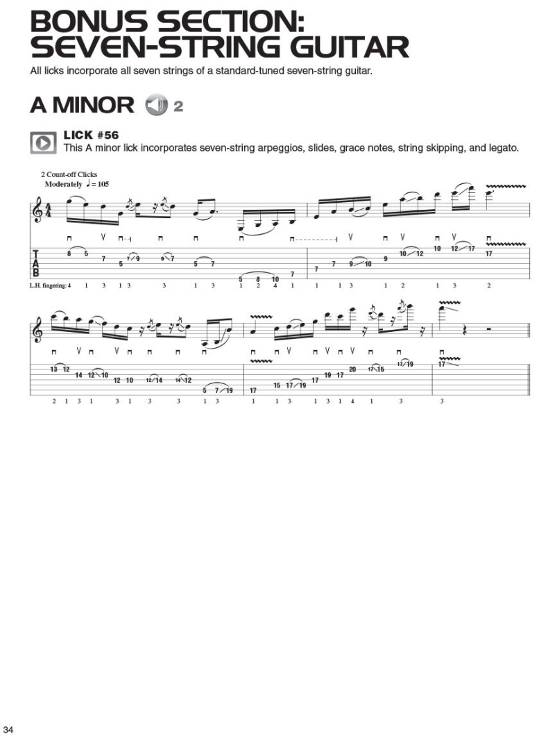 Progressive Rock Guitar Licks (book/Audio Online)