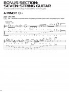 Progressive Rock Guitar Licks (book/Audio Online)