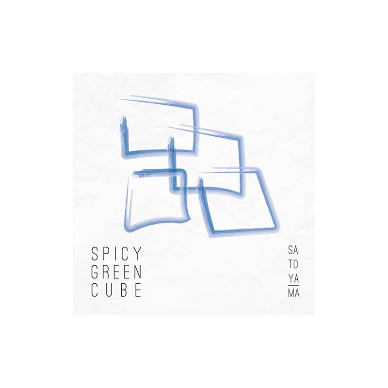 Satoyama ‎– Spicy Green Cube (CD)