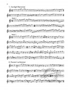 Der Fluyten Lust-hof - Band I