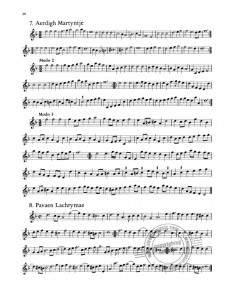 Der Fluyten Lust-hof - Band I