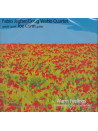 CD - Warm Feelings