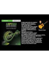 "Arpeggi" - Geometrie orizzontali (2 Video in Streaming)