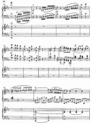 Beethoven - Piano Concerto no. 3 C minor op. 37