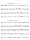 The Art of Native American Flute