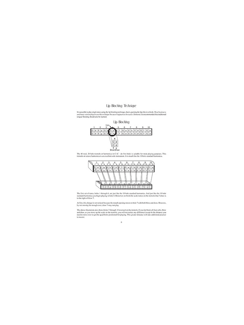Tremolo and Octave Harmonica Method (book/CD)