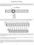 Tremolo and Octave Harmonica Method (book/CD)