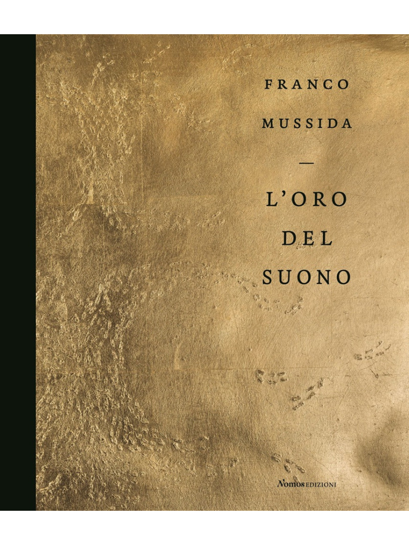 Franco Mussida. L'oro del suono