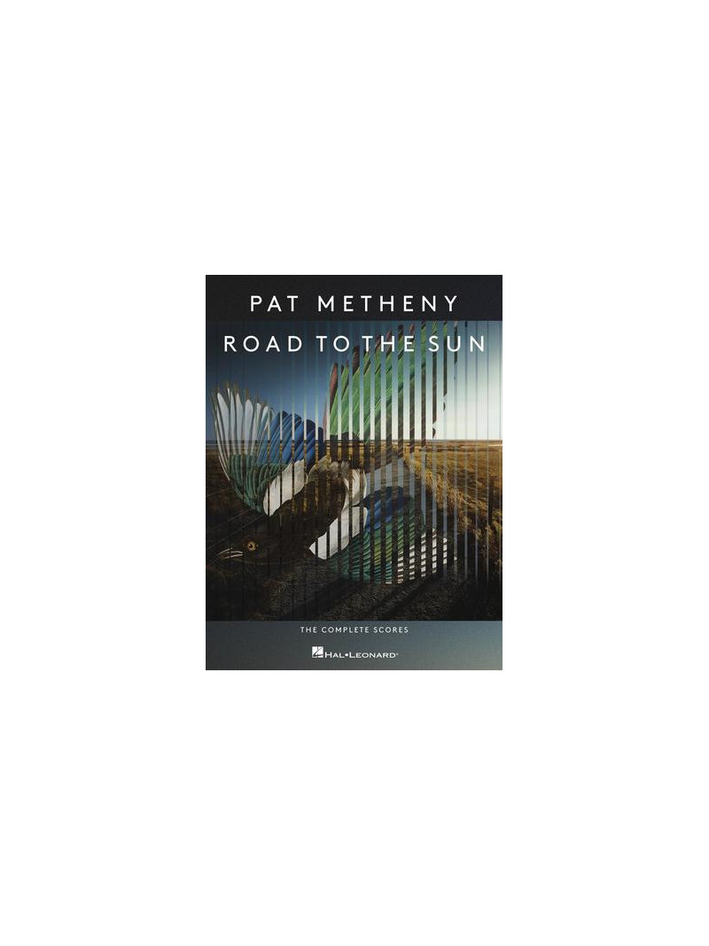 Pat Metheny - Road to the Sun