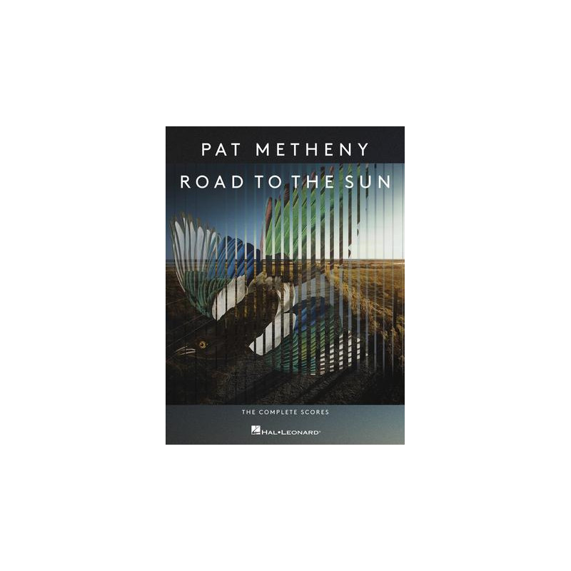 Pat Metheny - Road to the Sun
