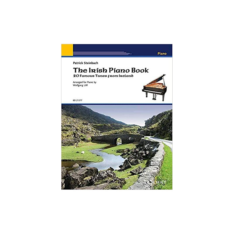 The Irish piano accordion