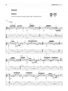 Flamenco Guitar (book/Audio Online)