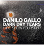 Danilo Gallo - Dark Dry Tears (CD)
